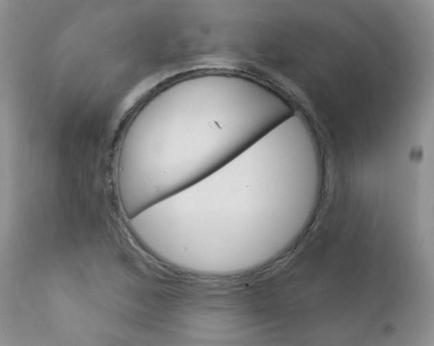 X0000113101168200908280945