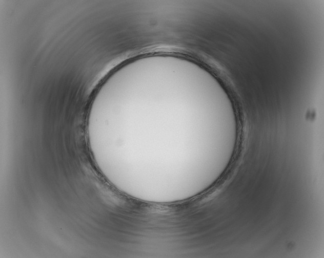 X0000113101170200908280945