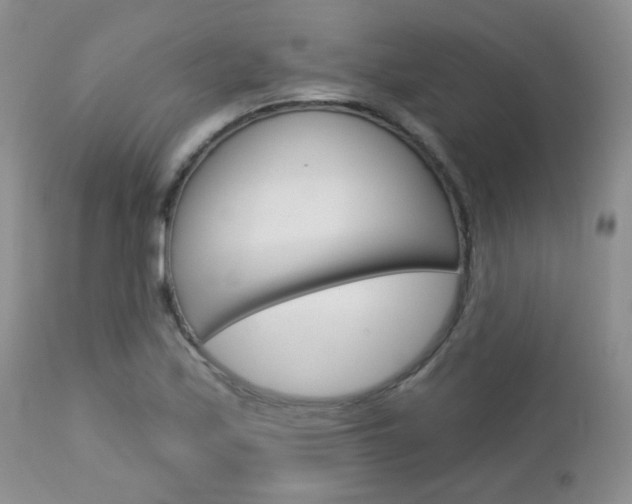 X0000113101171200908280945
