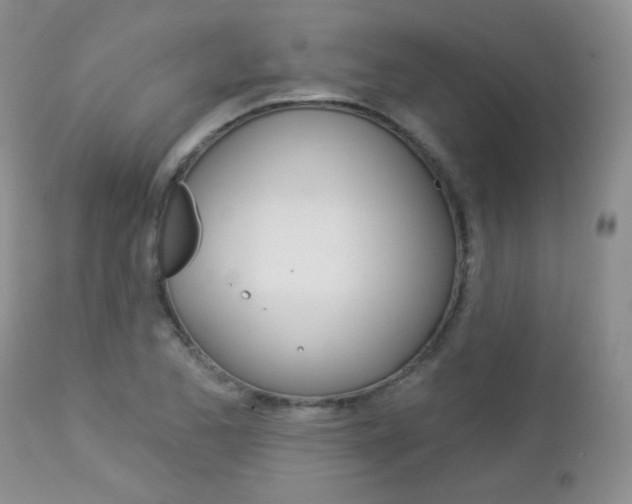 X0000113101173200908280945