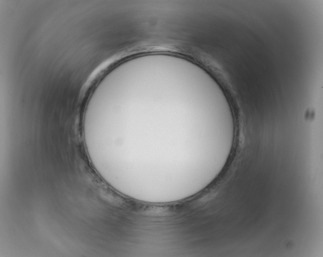 X0000113101174200908280945