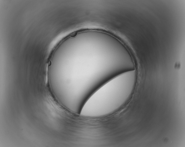 X0000113101175200908280945