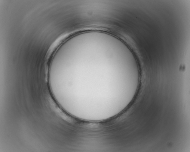 X0000113101180200908280945
