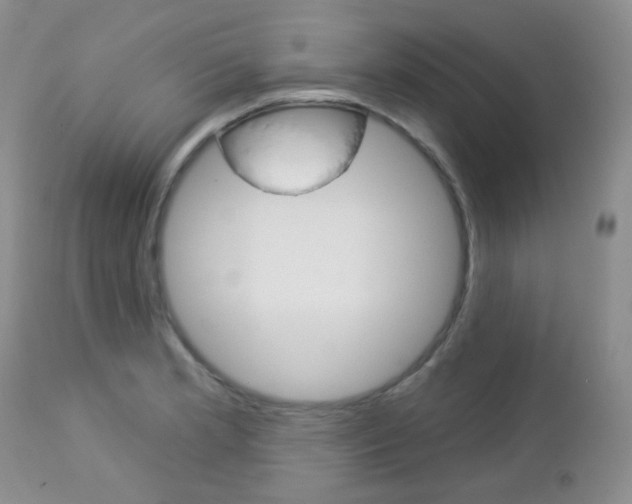 X0000113101181200908280945