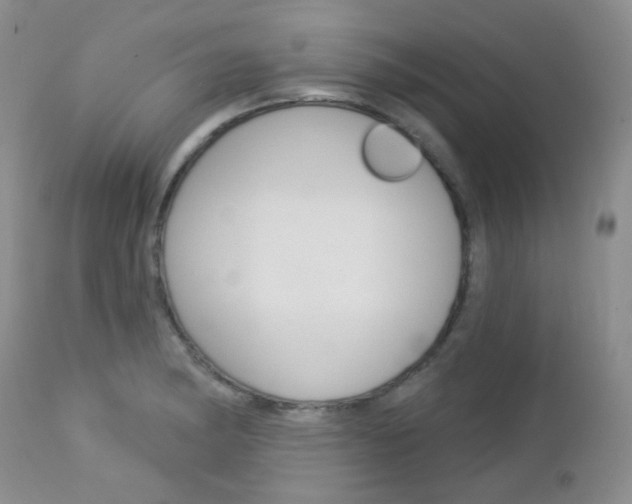 X0000113101182200908280945