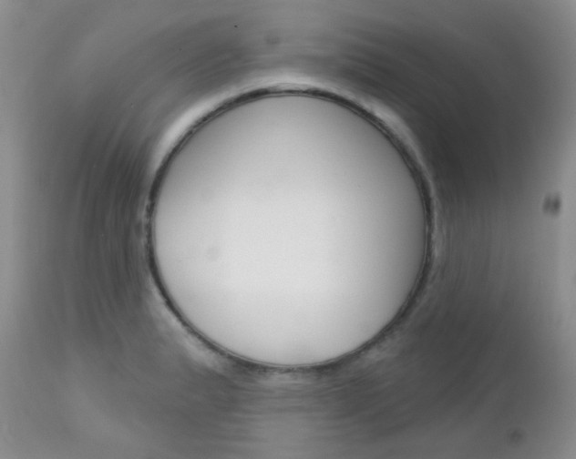 X0000113101183200908280945