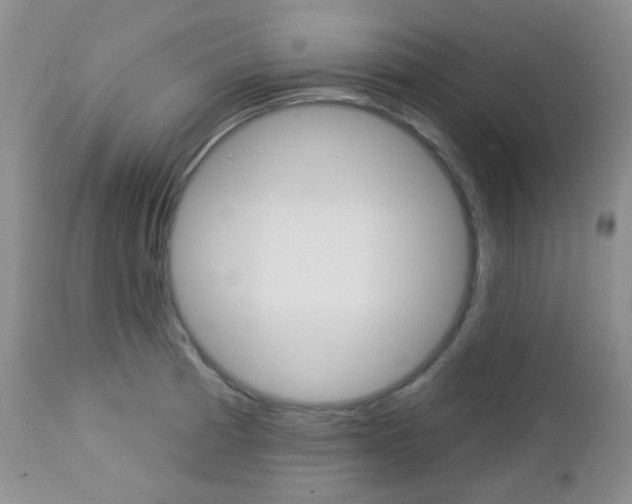 X0000113101185200908280945