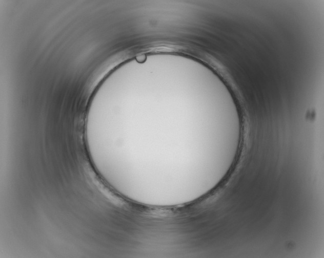 X0000113101186200908280945