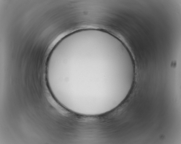 X0000113101187200908280945
