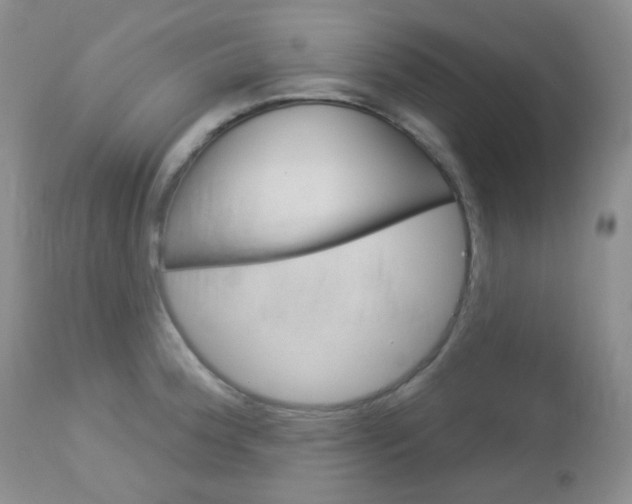 X0000113101188200908280945