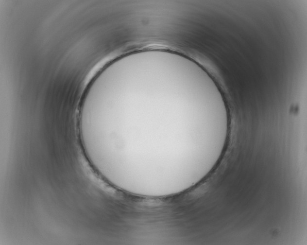 X0000113101190200908280945