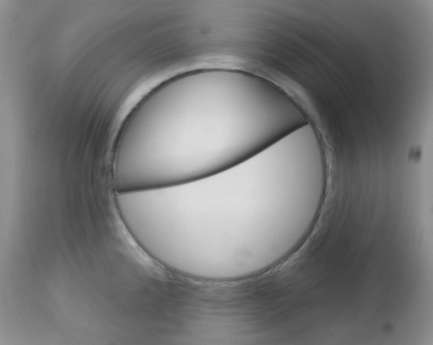 X0000113101192200908280945