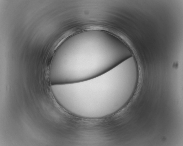 X0000113101193200908280944