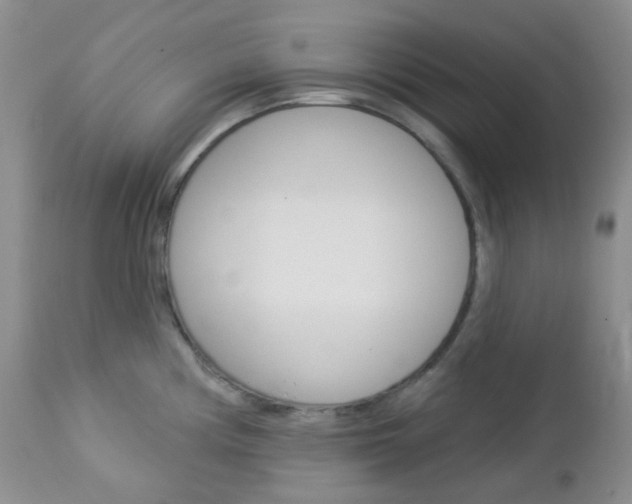 X0000113101194200908280944