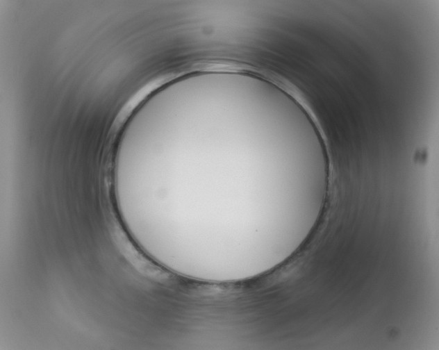 X0000113101195200908280944