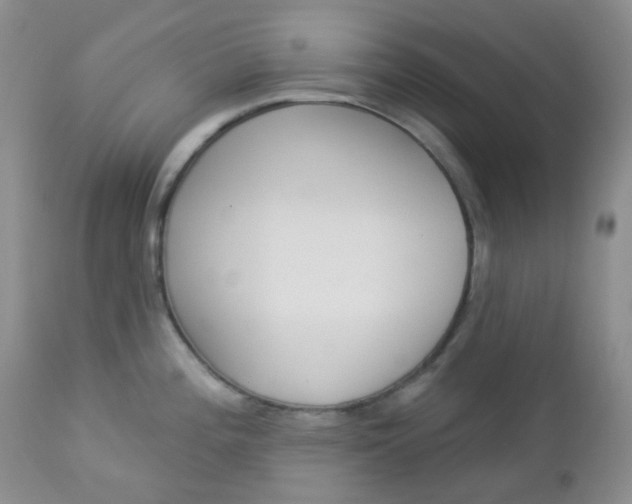 X0000113101196200908280944