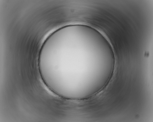 X0000113101197200908280944