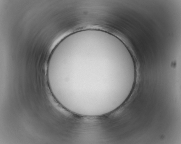 X0000113101198200908280944
