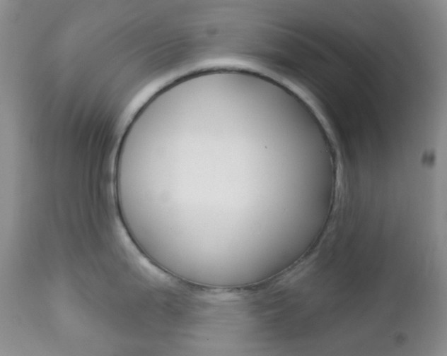X0000113101199200908280944