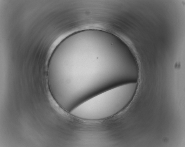 X0000113101200200908280944