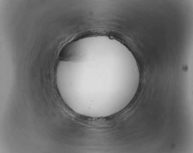 X0000113101201200908280944