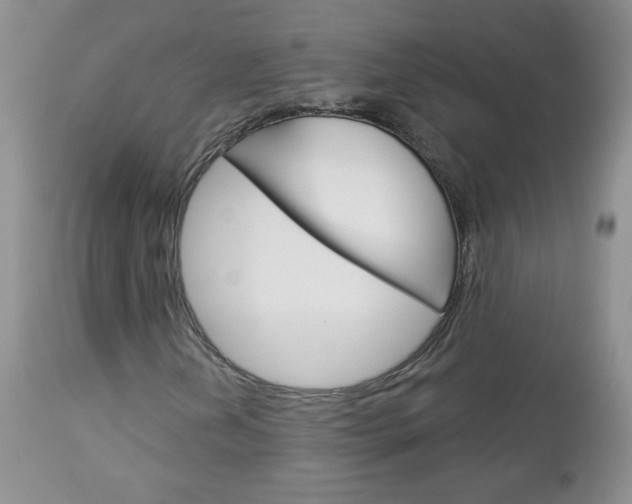 X0000113101202200908280944