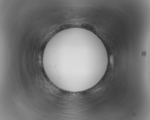 X0000113101203200908280944