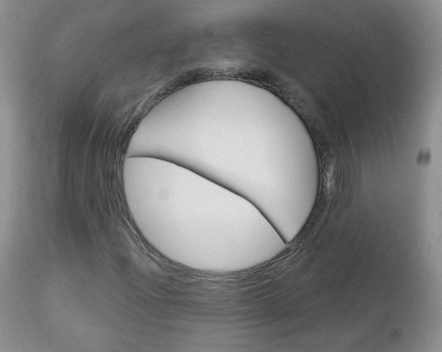 X0000113101204200908280944