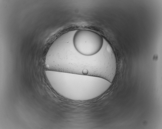 X0000113101205200908280944