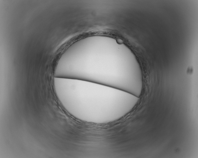 X0000113101206200908280944