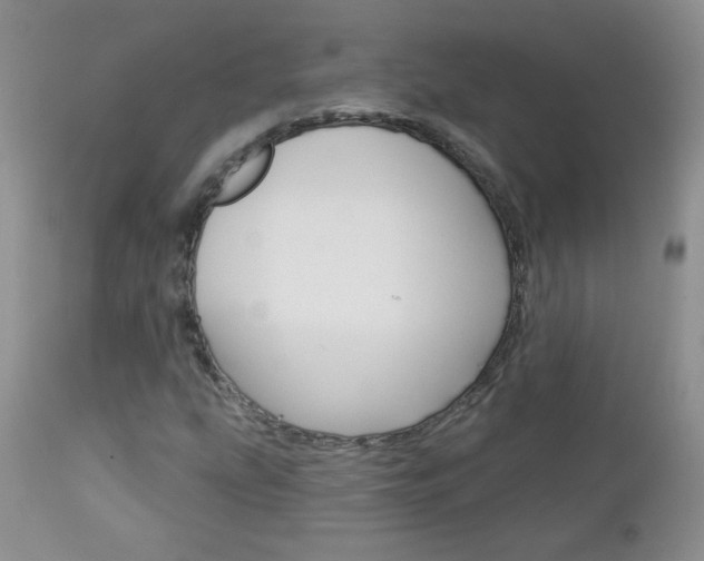 X0000113101207200908280944