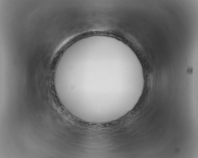 X0000113101208200908280944