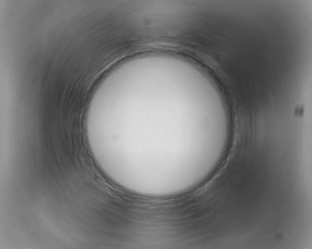X0000113101209200908280944