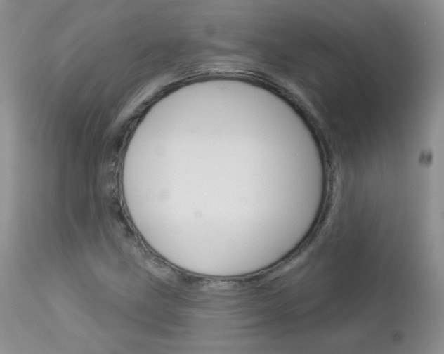 X0000113101211200908280944