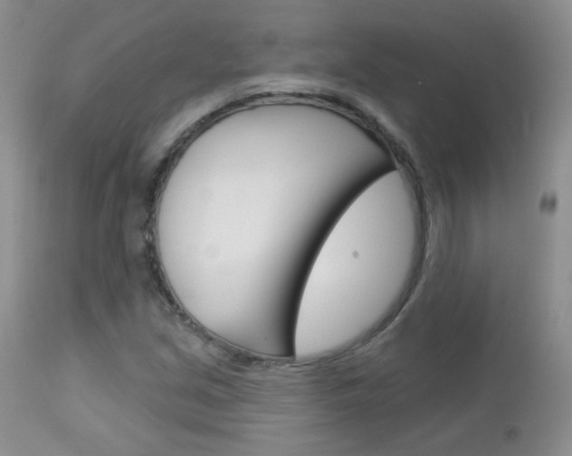 X0000113101213200908280944