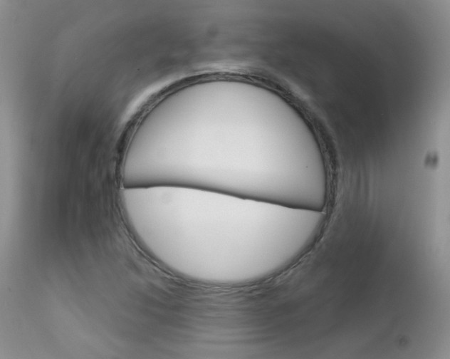 X0000113101214200908280944
