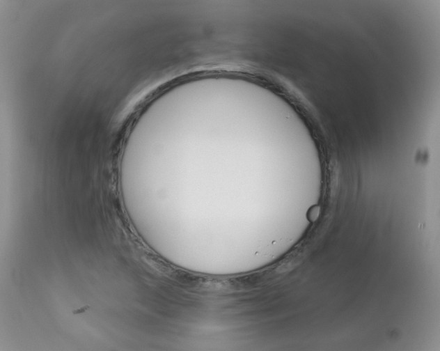X0000113101215200908280944
