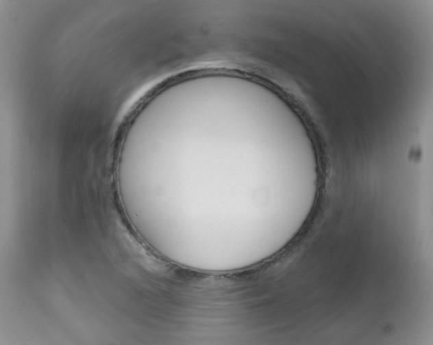 X0000113101216200908280944
