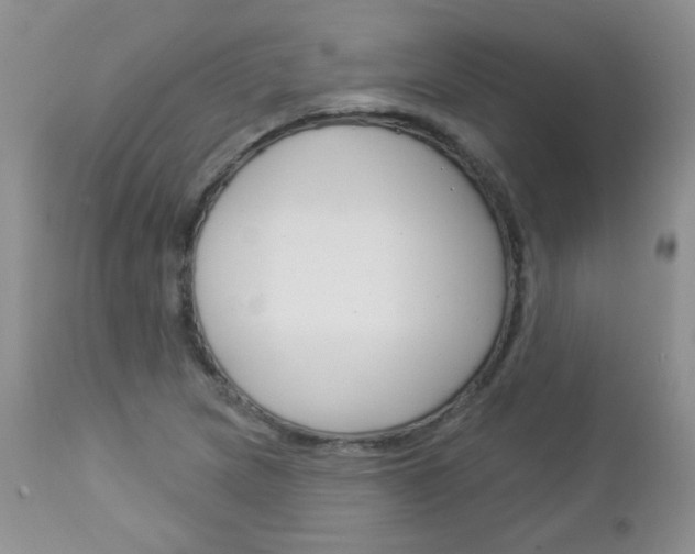 X0000113101217200908280944
