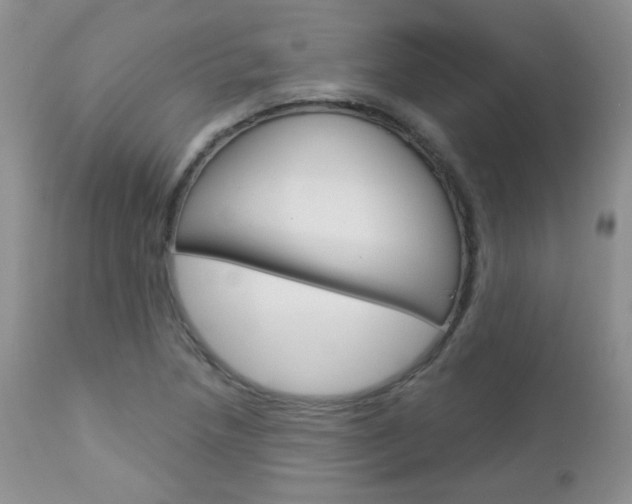 X0000113101218200908280944