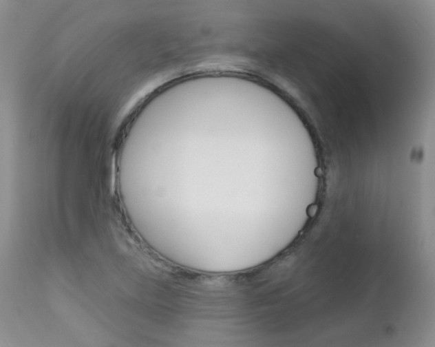 X0000113101219200908280944