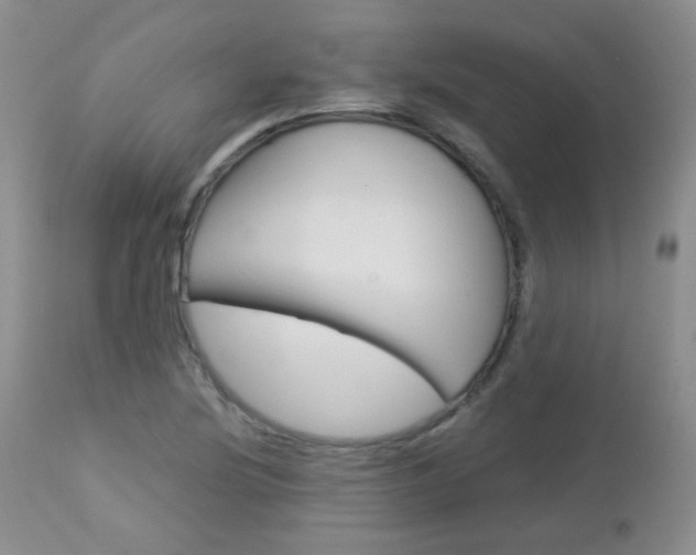 X0000113101220200908280944