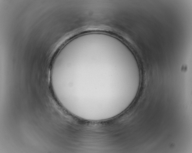 X0000113101221200908280944
