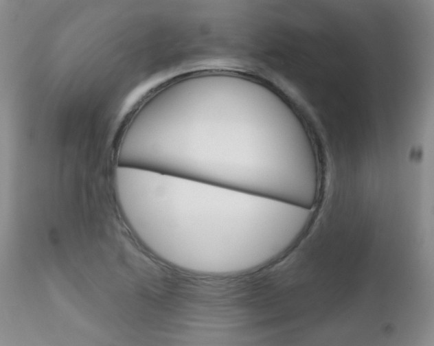 X0000113101222200908280944