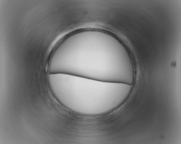 X0000113101224200908280944