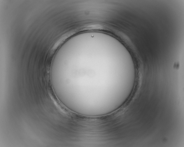 X0000113101225200908280944