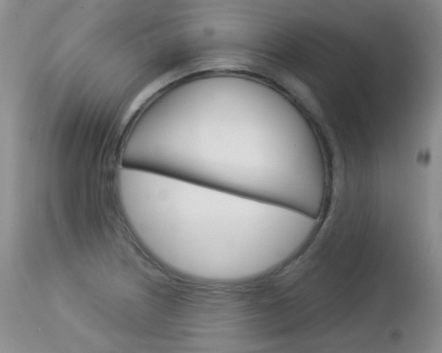 X0000113101226200908280944