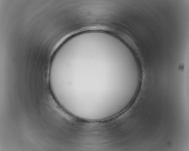 X0000113101228200908280944