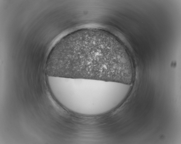 X0000113101229200908280944