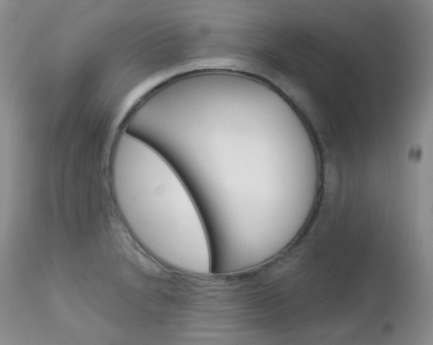 X0000113101230200908280944